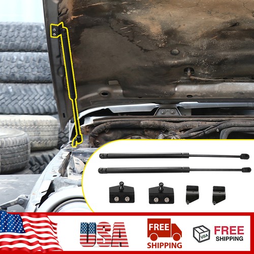 Hood lift supports shock - lift,